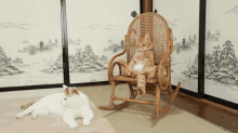 Please, Have A Seat GIF - Cat Sit Chair GIFs