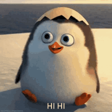 Hello Penguin GIF - Hello Penguin Cute GIFs