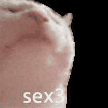 Sex3 Sexthree GIF - Sex3 Sexthree Sex GIFs