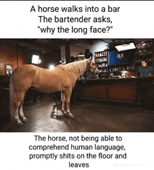 a horse walks into a bar and the bartender asks " why the long face ? "