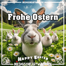 a bunch of rabbits in a field with the words frohe ostern happy easter on the bottom