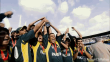 Winning Celebration Champions GIF - Winning Celebration Champions Pakistan Zindabad GIFs
