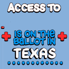 election voting bentuber texas go vote