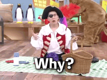 The Wiggles The Taiwanese Wiggles GIF - The Wiggles The Taiwanese Wiggles Captain Feathersword GIFs