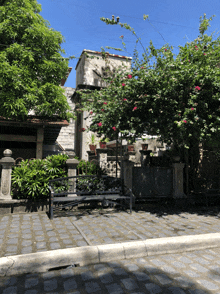 a brick walkway with a bench and a tree in the background
