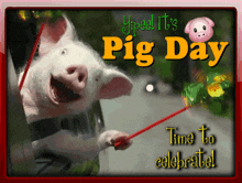 Pig Pig Day GIF