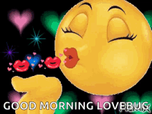 Good Morning Lovebug Kisses GIF - Good Morning Lovebug Kisses Flying Kisses GIFs