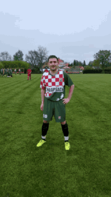 a soccer player wearing a green jersey with the number 10 on the back