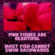 Pinkfish Pinklove GIF