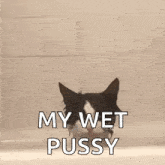 a black and white cat is peeking out of a bathtub .