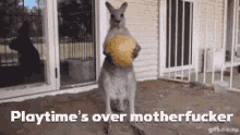 Kangaroo Play Times Over GIF - Kangaroo Play Times Over Motherfucker GIFs