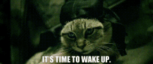 Keanu Its Time To Wake Up GIF - Keanu Its Time To Wake Up Cat GIFs