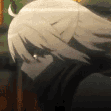 a close up of a person 's head with white hair and a ponytail .