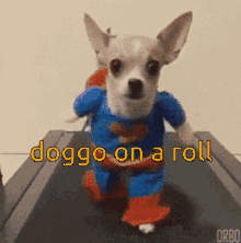 Doggos Rule Doggo On A Roll GIF - Doggos Rule Doggo On A Roll Superman GIFs