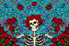 Trippy Grateful Dead GIF - Trippy Psychedelic Gratefuldead GIFs