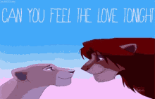Lion King Can You Feel The Love Tonight GIF