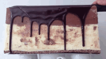 Chocolate GIF - Chocolate Cake Mousse GIFs