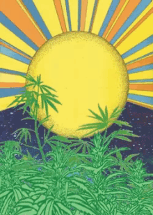 a drawing of a sun shining through a field of plants