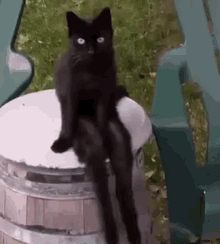 Creepiest Black Cat Ever! Happy Halloween GIF - Cats GIFs