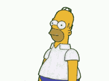 Homer GIF