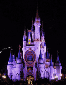 Disney World GIF - Disney World Castle GIFs