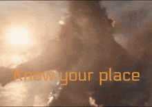 Know Your Place Godzilla GIF - Know Your Place Godzilla GIFs