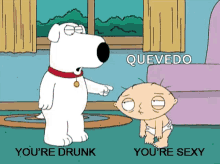 Family Guy Youre Drunk GIF - Family Guy Youre Drunk Youre Sexy GIFs