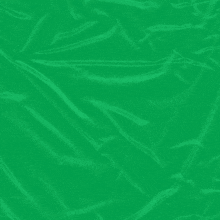 a green background with the words disco walter mix