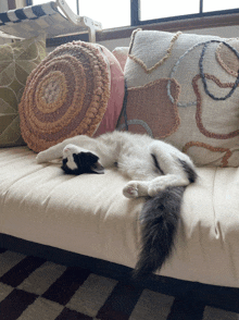 Tail Flip Cat Belly GIF - Tail Flip Cat Belly Cat GIFs