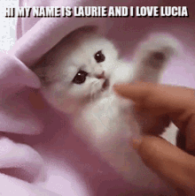 Laurie Lucia GIF - Laurie Lucia GIFs