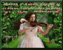 versiculo biblico texto biblico religioso violin alabad jehova