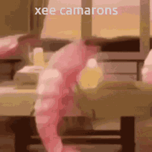 Xeee Camarao GIF - Xeee Camarao Cerveja GIFs