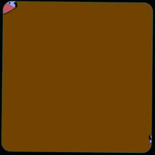 arabic writing on a brown background with flowers around it