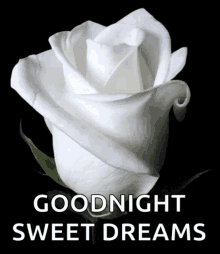 Good Night Sweet Dreams GIF - Good Night Sweet Dreams Flower GIFs