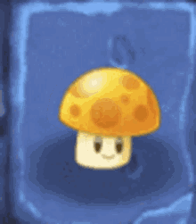 shroom sunshroom