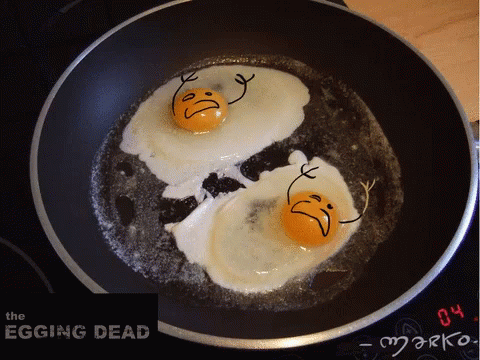fried-egg-help-us.gif