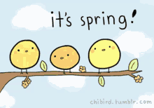 It'S Spring! GIF - Spring Its Spring Birds GIFs