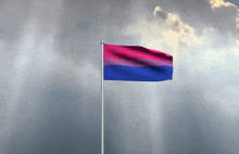 a bisexual flag is waving in the wind