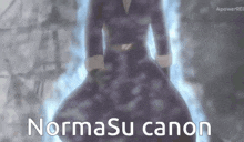 a woman in a purple dress is standing in front of a wall with the words normasu canon written on the bottom