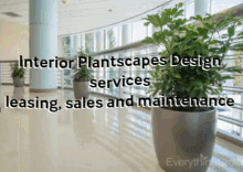 interior plantscapes design in danville