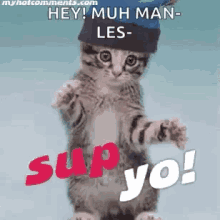 a kitten wearing a blue hat is standing on its hind legs and says hey ! muh man-les-sup yo !