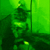 a cat is standing in a dark room with a green light behind it