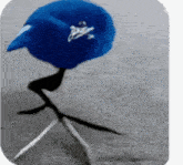 a blue bird with a skull and crossbones on it 's head