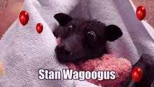 Wagoogus GIF - Wagoogus GIFs