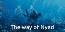 Nyad You Just Got Nyaded GIF - Nyad You Just Got Nyaded The Way Of Nyad GIFs