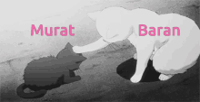 Murati Severken Baran GIF - Murati Severken Baran GIFs
