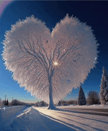 Cold Good Morning Winter GIF - Cold Good Morning Winter GIFs