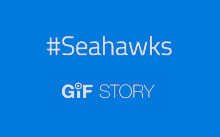 Seattle Seahawks Gif Story GIF