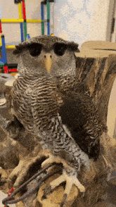 a large owl sitting on a tree stump with a rope around its feet
