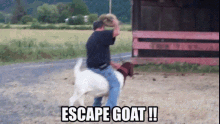 Escape Goat GIF